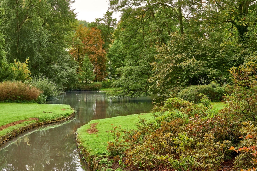 Gräflicher Park Bad Driburg mit Teich und Bäumen