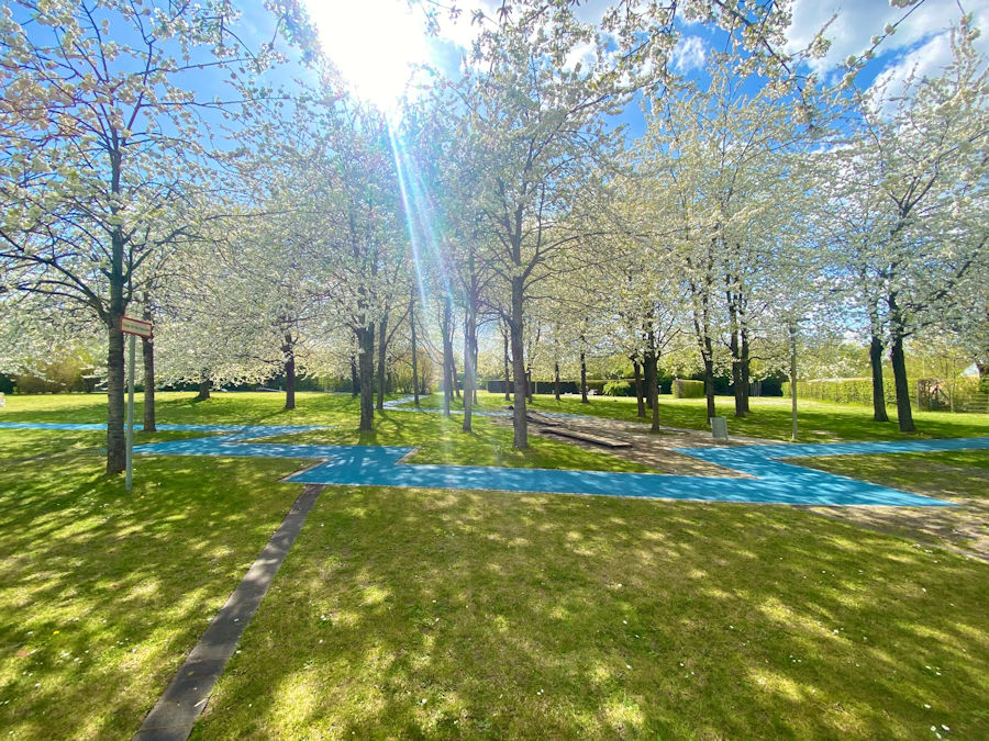 Blauer Weg im Aussenbereich umgeben von Bäumen im Sonnenschein